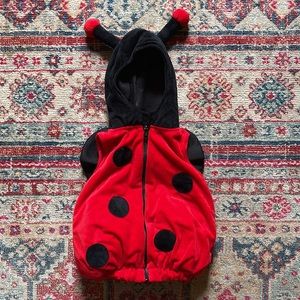 Baby ladybug halloween costume 6-9 months